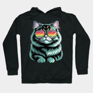 Sunglasses British Longhair Cat Highland Straight Hoodie
